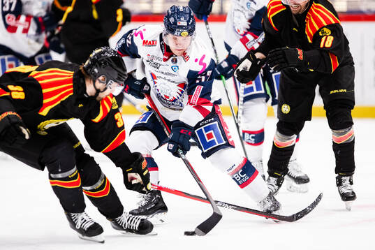 Linköpings Petrus Palmu