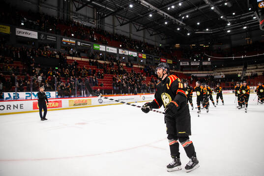 Brynäs Anton Rödin jublar