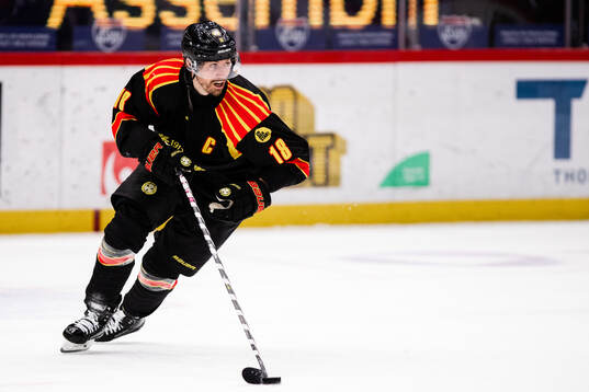 Brynäs Anton Rödin