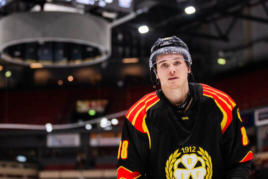 Brynäs Dmytro Timashov