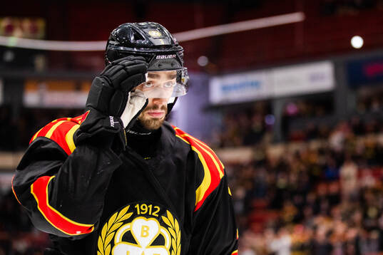 Brynäs Niklas Friman