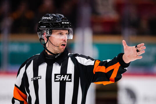 Domare John Magnusson