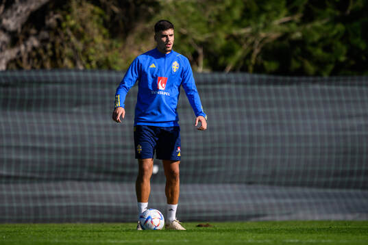 Edvin Kurtulus of the Swedish men's football national team