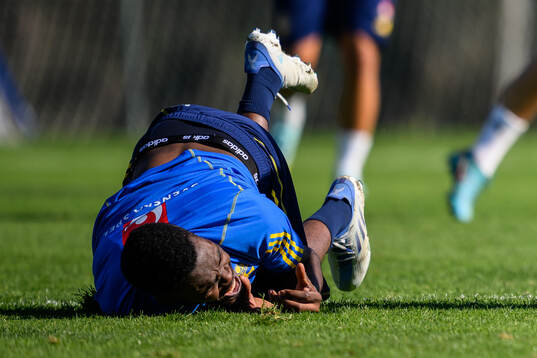 Joel Asoro of the Swedish men's football national team is