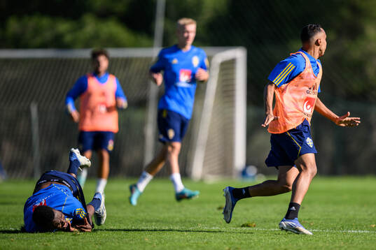 Joel Asoro of the Swedish men's football national team is