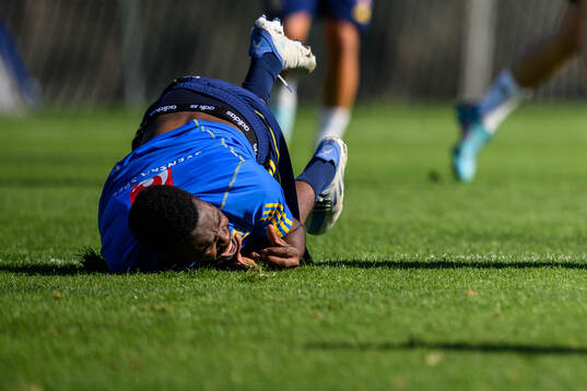 Joel Asoro of the Swedish men's football national team is