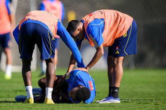 Joel Asoro of the Swedish men's football national team is