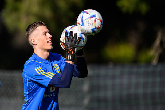 goalkeeper Leopold Wahlstedt of the Swedish men's football