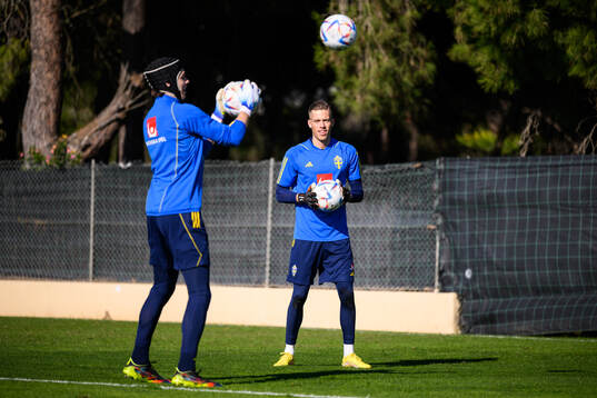 goalkeeper Jacob Widell Zetterström and goalkeeper Leopold