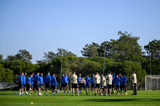 Players and coaches of the Swedish men's football national