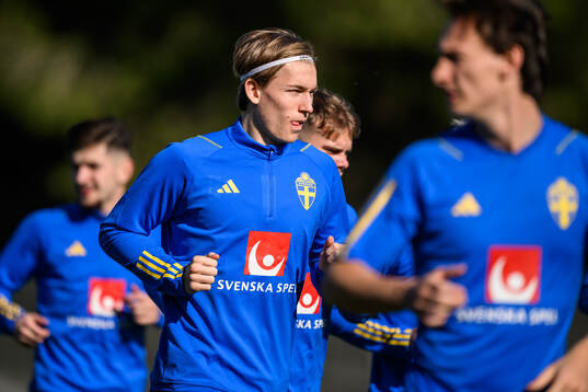 Johan Bångsbo of the Swedish men's football national team