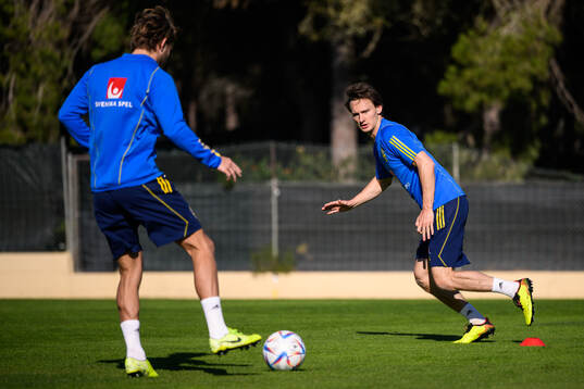 Hjalmar Ekdal of the Swedish men's football national team