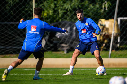 Edvin Kurtulus of the Swedish men's football national team