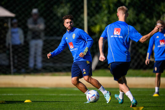 Moustafa Zeidan of the Swedish men's football national team