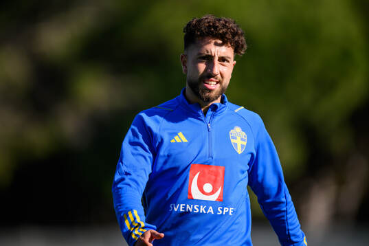 Moustafa Zeidan of the Swedish men's football national team