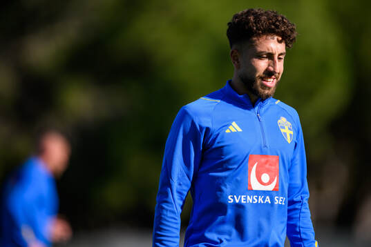 Moustafa Zeidan of the Swedish men's football national team