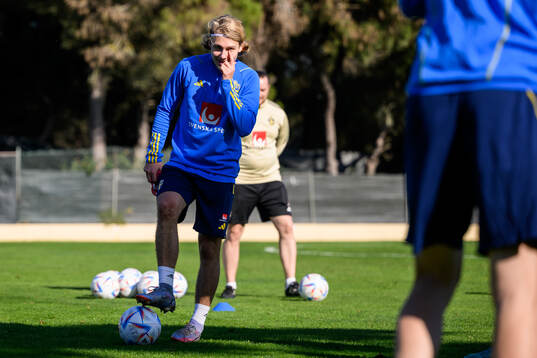 Sebastian Nanasi of the Swedish men's football national