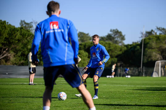 Elias Andersson of the Swedish men's football national team