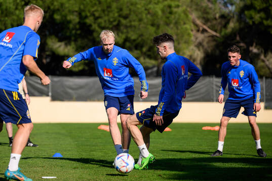 André Boman and Armin Gigovic of the Swedish men's