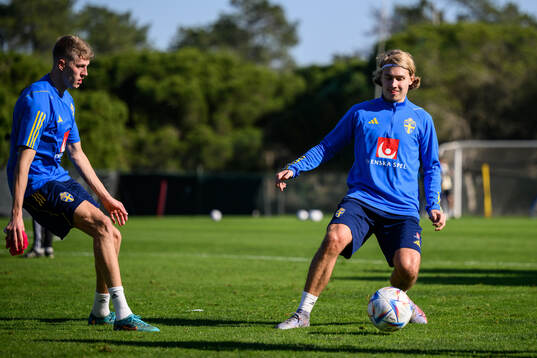 Carl Gustafsson and Sebastian Nanasi of the Swedish men's