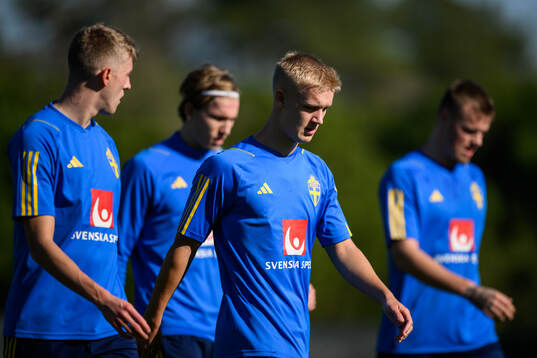 Carl Gustafsson of the Swedish men's football national team