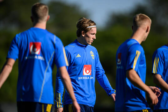 Johan Bångsbo of the Swedish men's football national team