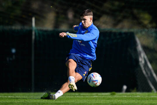 Edvin Kurtulus of the Swedish men's football national team