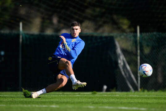 Edvin Kurtulus of the Swedish men's football national team