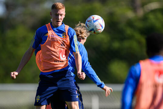 Hugo Larsson and Sebastian Nanasi of the Swedish men's