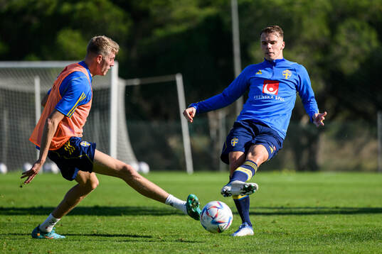 Alexander Bernhardsson and Elias Andersson of the Swedish