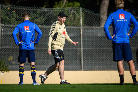 assistant coach Peter Wettergen of the Swedish men's