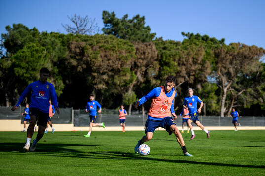 Yasin Ayari of the Swedish men's football national team at