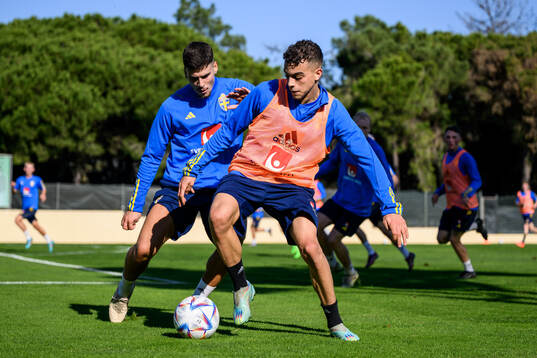 Edvin Kurtulus and Yasin Ayari of the Swedish men's