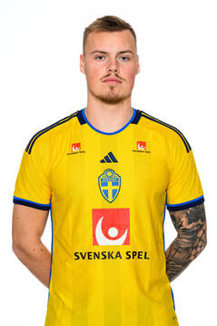 Victor Eriksson of the Swedish men's football national team