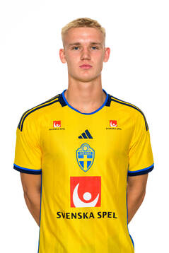 Carl Gustafsson of the Swedish men's football national team