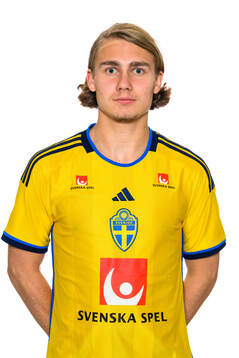 Sebastian Nanasi of the Swedish men's football national
