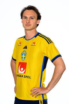 Hjalmar Ekdal of the Swedish men's football national team