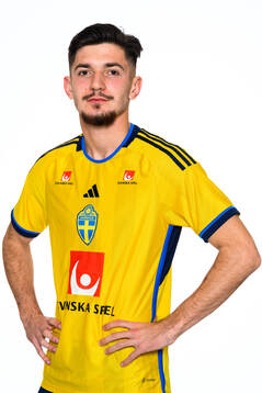 Armin Gigovic of the Swedish men's football national team