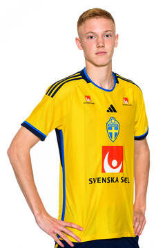 Hugo Larsson of the Swedish men's football national team