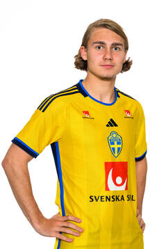 Sebastian Nanasi of the Swedish men's football national