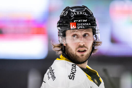 AIKs Erik Flood