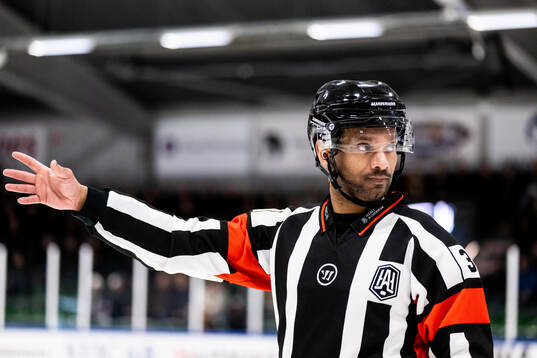 Domare Fredrik Rönnberg