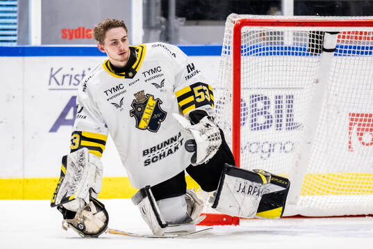 AIKs målvakt Claes Endre