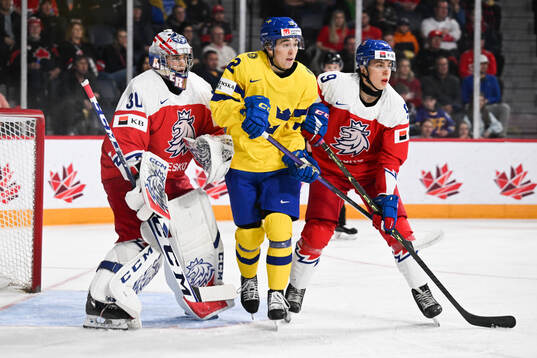 Goalkeeper Tomas Suchanek and Tomas Hamara of Czech