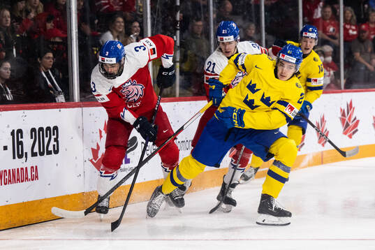 David Spacek of Czech Republic and Leo Carlsson  of Sweden