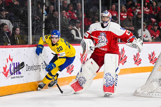 Liam Öhgren of Sweden and goaltender Tomas Suchanek of