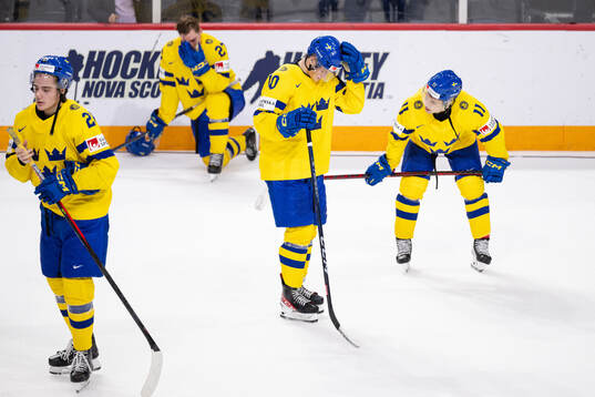 Leo Carlsson , Oskar Pettersson , Fabian Wagner and Fabian