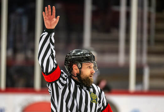 Domare Mikael Söderlund