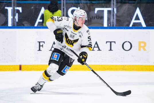 Västerås Anton Eriksson