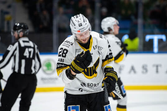 Västerås Lukas Zetterberg deppar